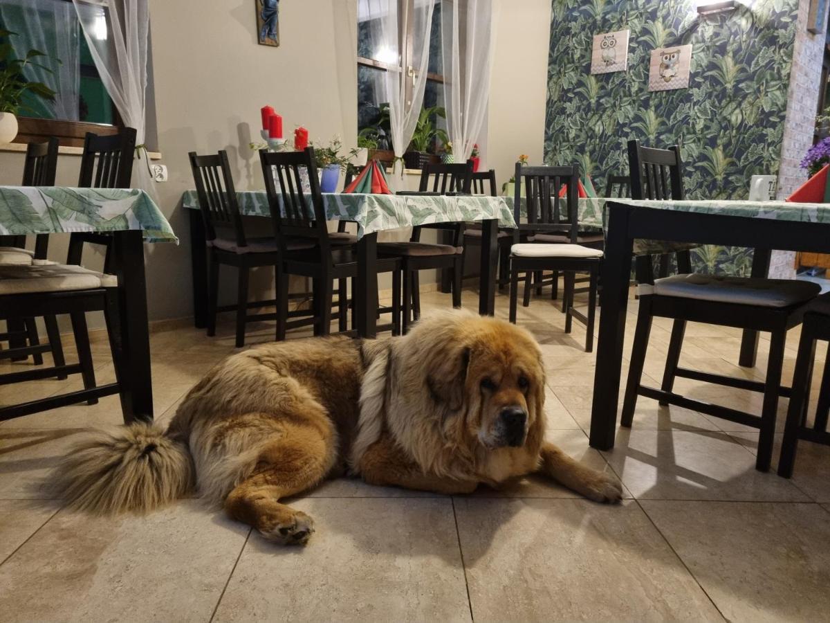 Dom Supelek Panzió Duszniki Zdrój Kültér fotó
